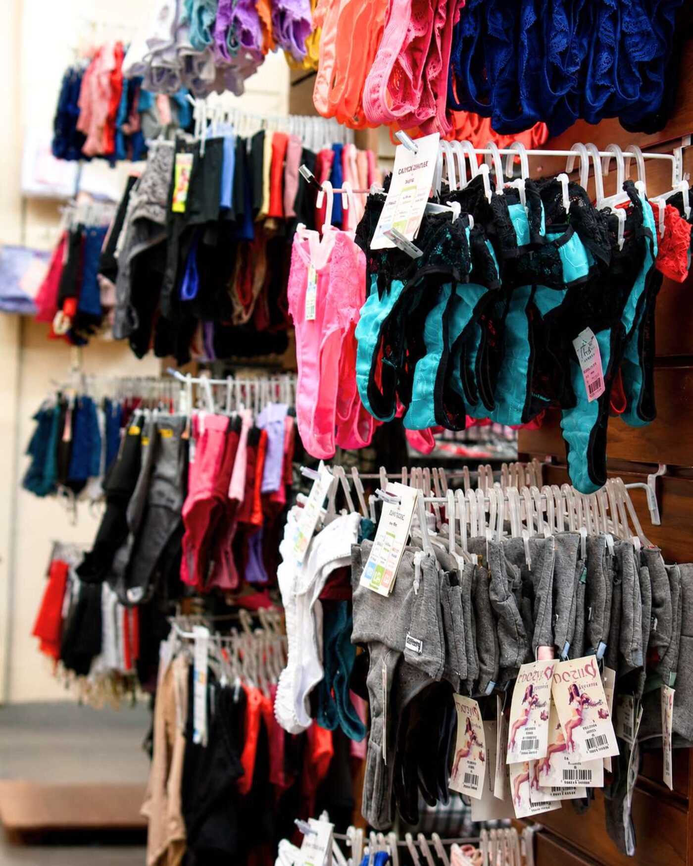 Arara colorida com variedade de lingeries